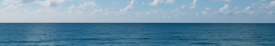 Sea with sky